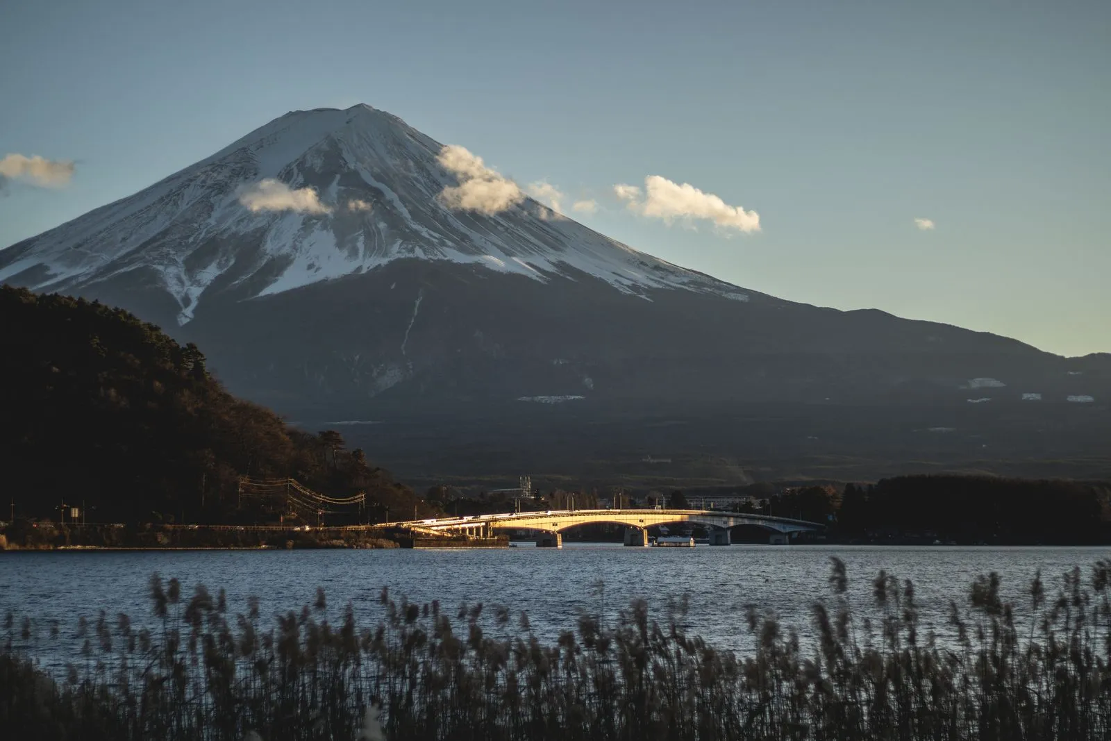 Snowy Mt Fuji in late sun, the lake bridge and reeds in front