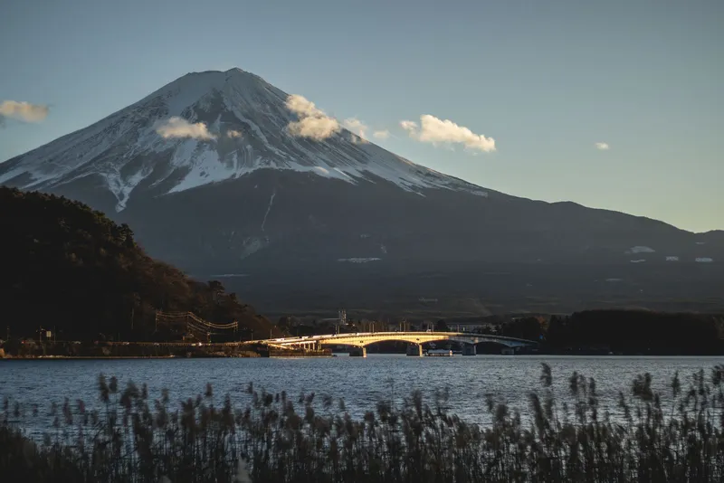 Snowy Mt Fuji in late sun, the lake bridge and reeds in front