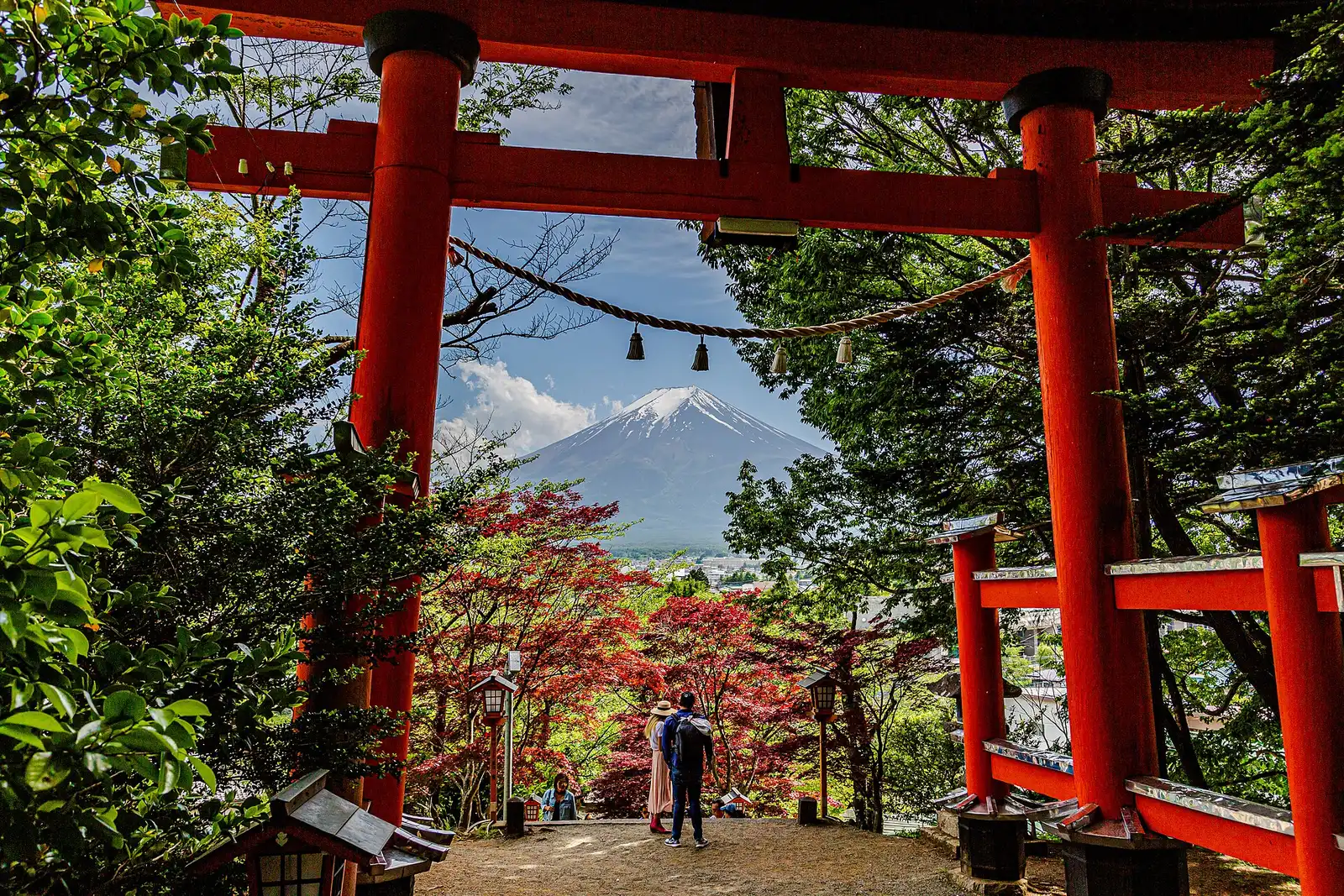 Mt Fuji framed by the big red torii at Arakurayama Sengen Park, red maples below