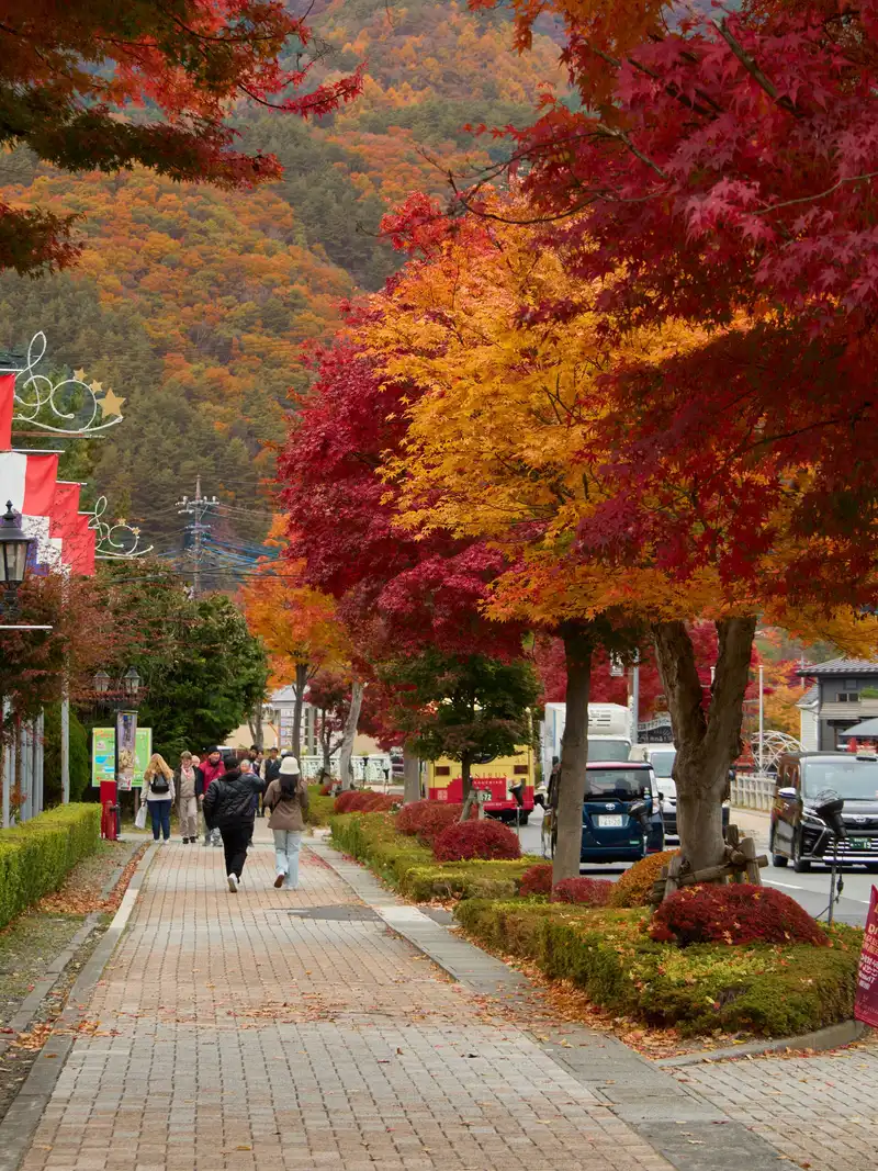 Brick footpath under red and orange maples, autumn hills behind