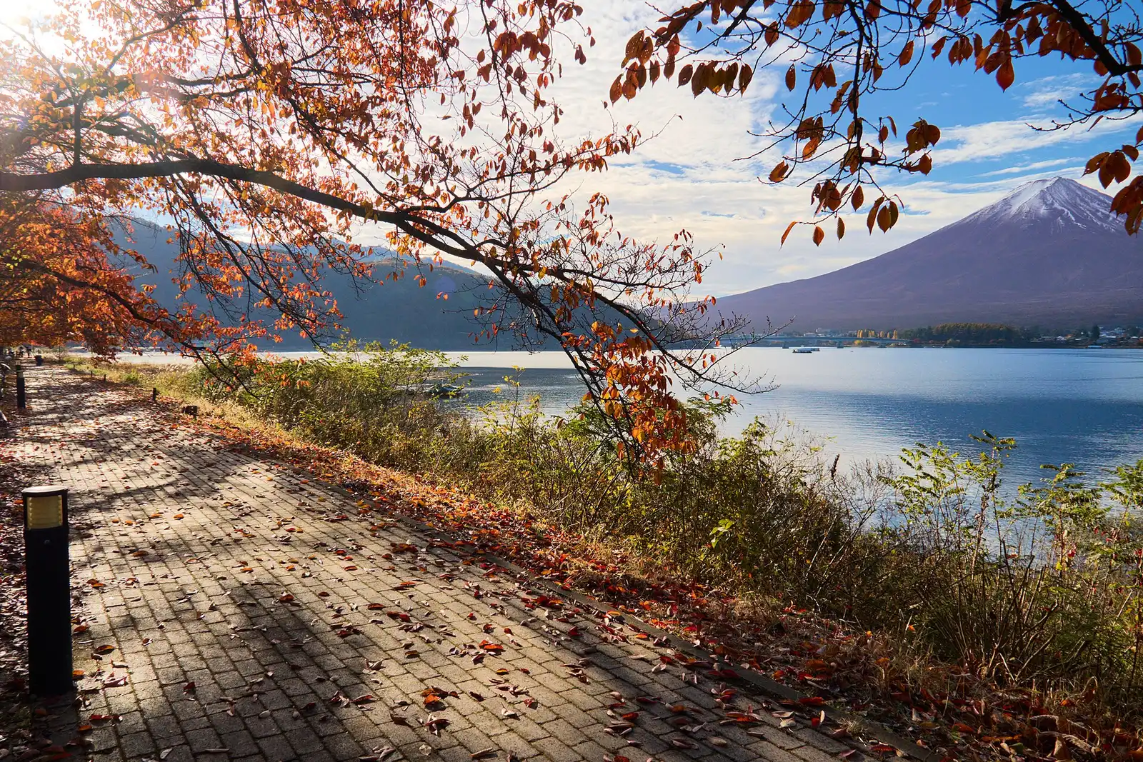 Lakeside brick path under autumn cherry leaves, Mt Fuji across Lake Kawaguchi