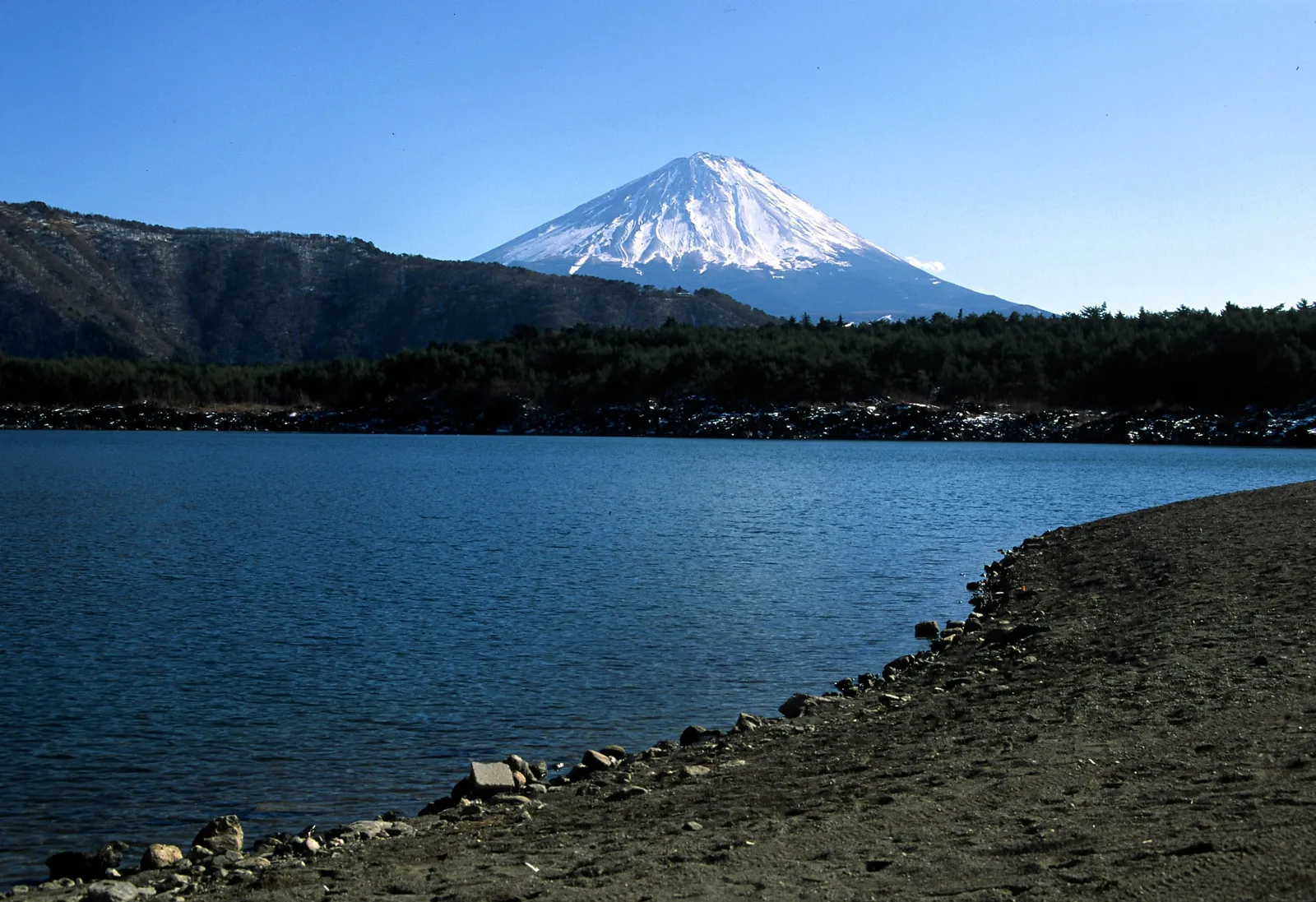 Snow-capped Mt Fuji rising above the forest across Lake Saiko, a stony shore in front