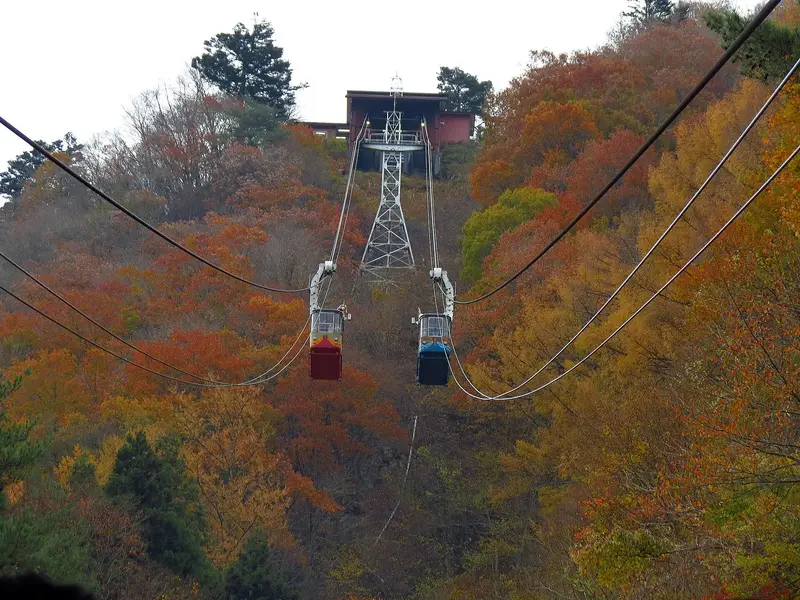 Two Kachi Kachi Ropeway gondolas climbing through autumn forest