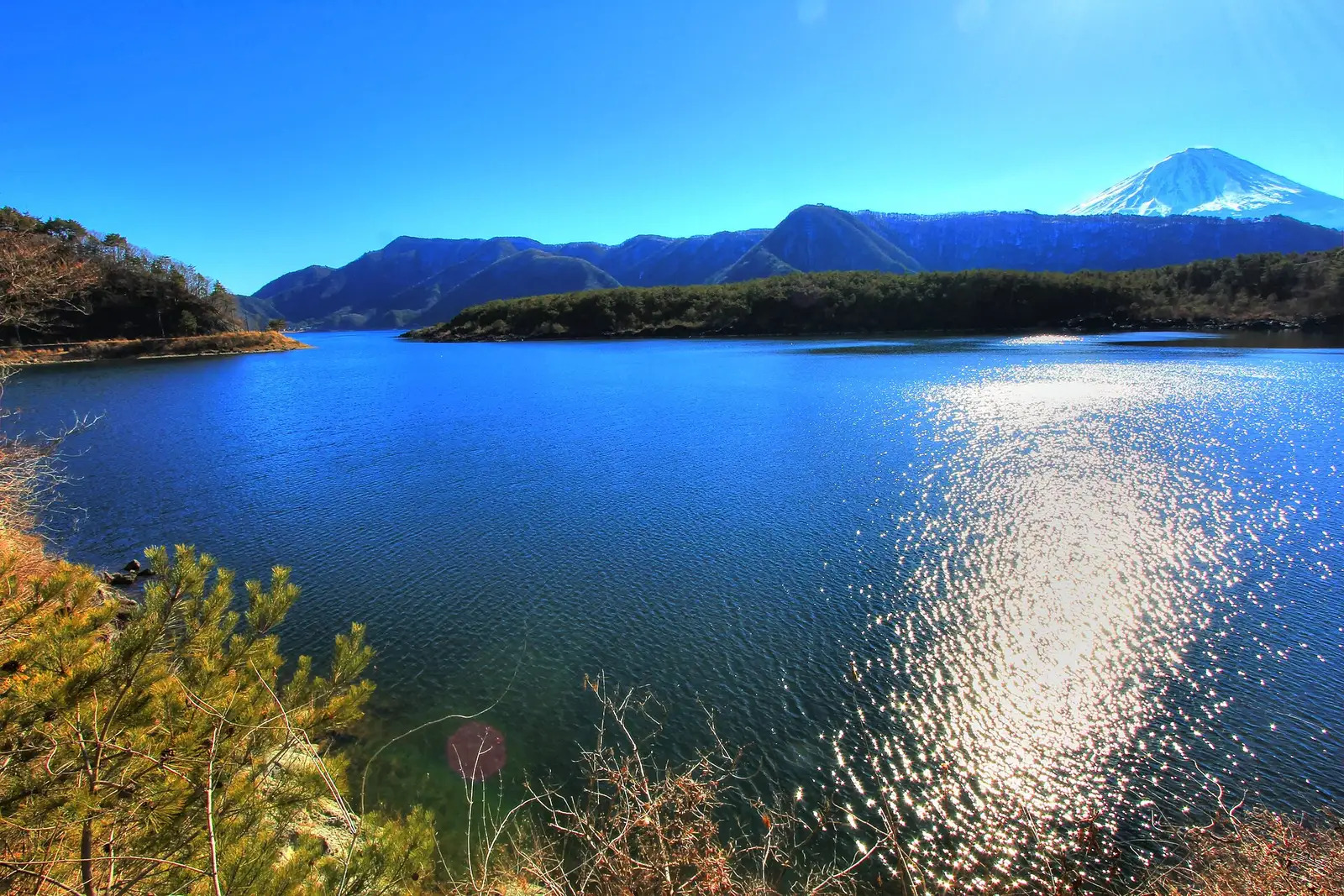 Wide bay of Lake Saiko with a wooded point, Mt Fuji in the distance