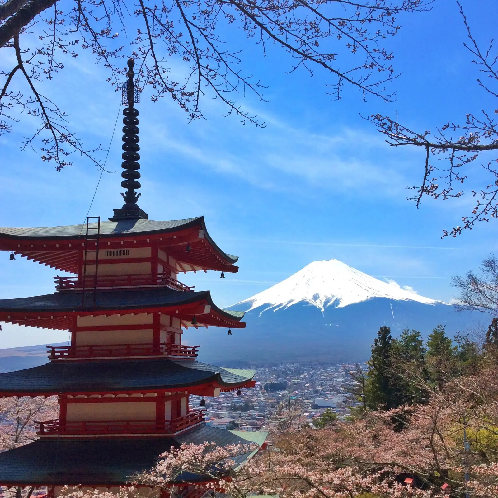 Chureito Pagoda and snow-capped Mt Fuji under a blue sky, framed by cherry branches